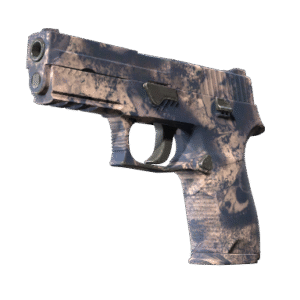 P250 | Drought (Factory New)