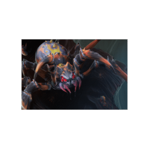 Arachnarok Loading Screen