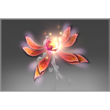 Blossom of the Merry Wanderer