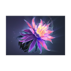 Immortal Treasure III 2019