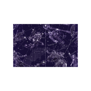International 2025 Loading Screen #5