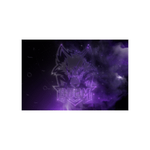 International 2025 Team Loading Screen - BOOM Esports