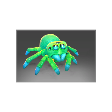 Lycosidae's Spiderling