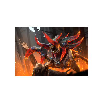 Sect of Kaktos