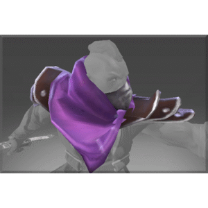 Shoulders of the Witch Hunter