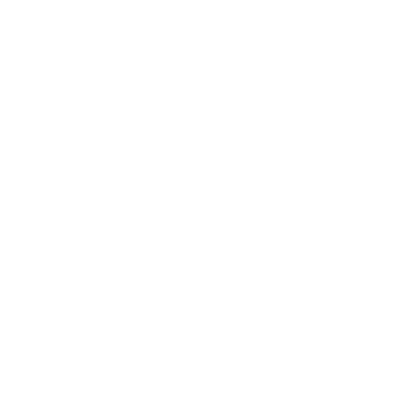 Team Spirit Team Sticker - TI 2022