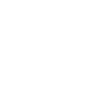 Team Spirit Team Sticker - TI 2023