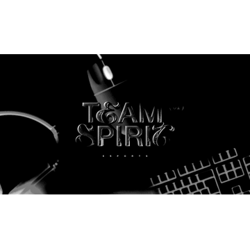 Team Wallpaper - Team Spirit, Season 10, #2