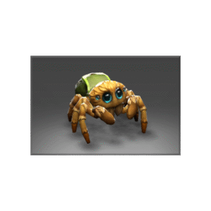Unusual Itsy
